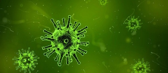 koronavirus v Česku uzavřel casina