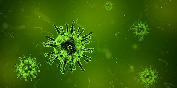 koronavirus v Česku uzavřel casina