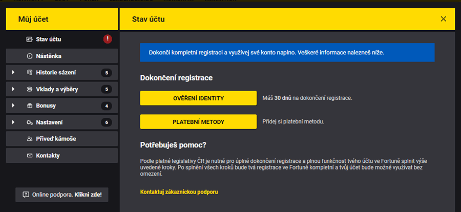 Dále je nutné provést ověření identity a platební metody