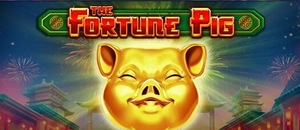 Výhra u Sazka Her na automatu The Fortune Pig